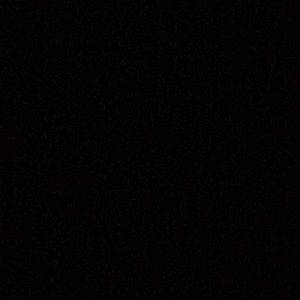 Meet your Posher, Forest